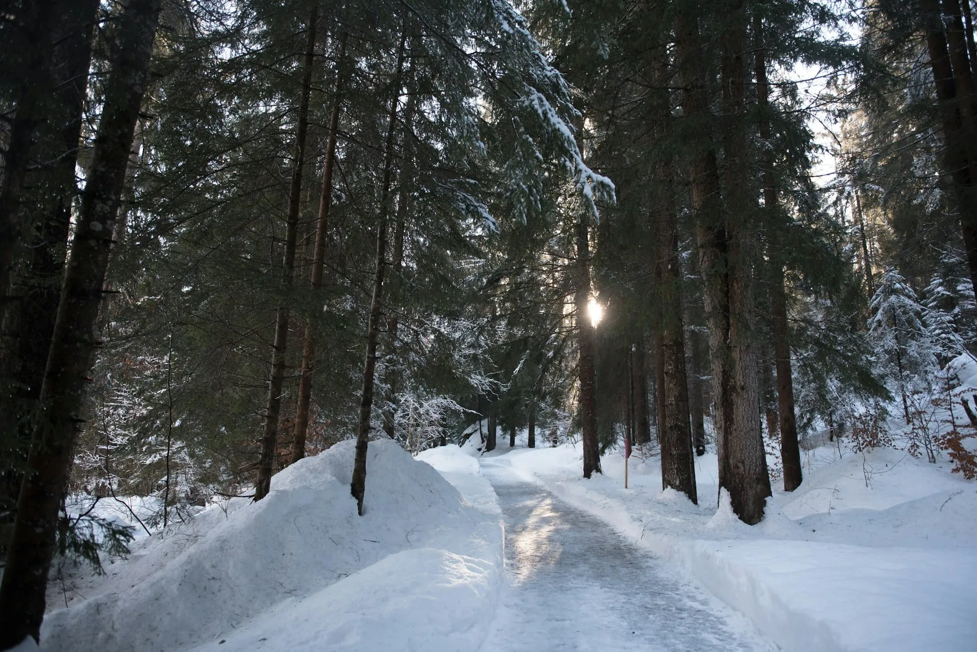 Faros en una carretera forestal nevada a la hora azul en el extremo norte